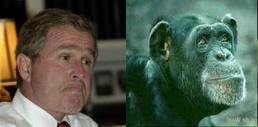 who is who